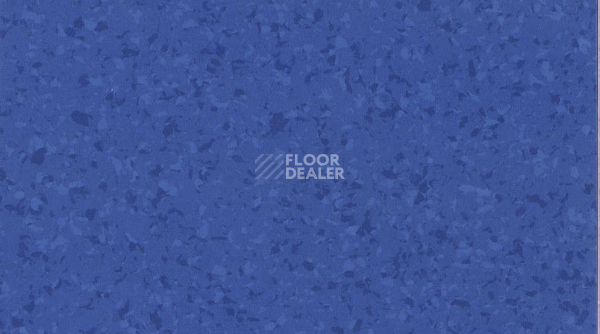 Линолеум Mipolam Symbioz 6046 BLUE NIGHT фото 1 | FLOORDEALER